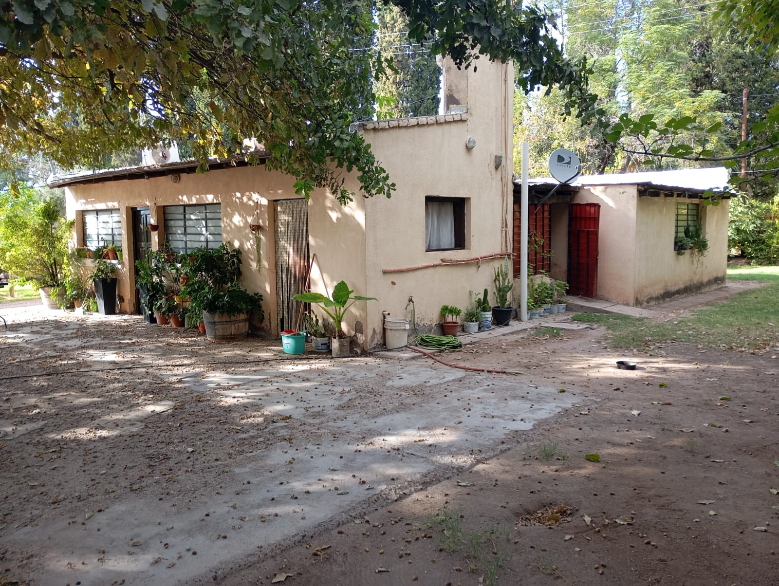 Junin - Imagen 8