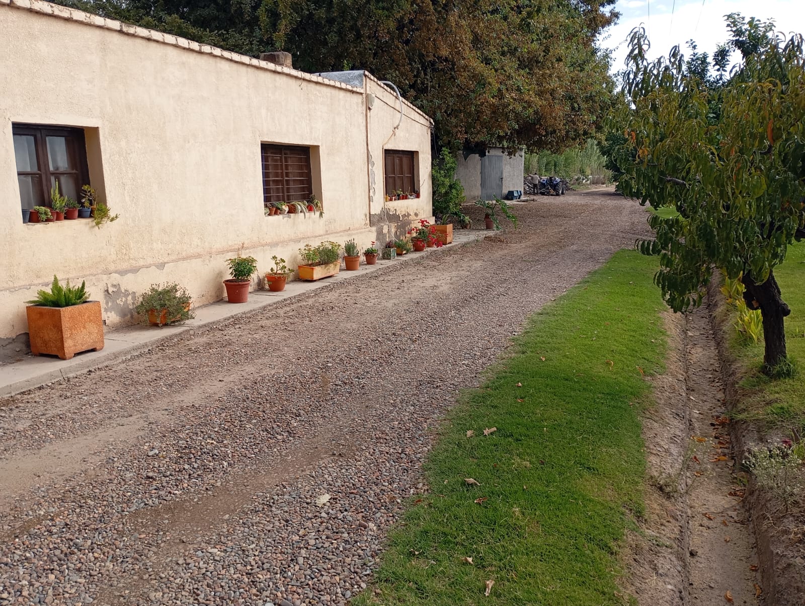 Junin - Imagen 2