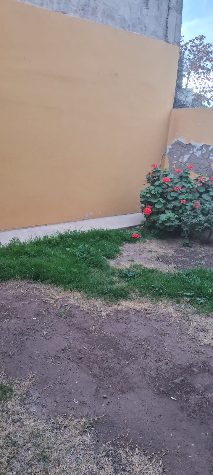 Departamento en planta baja - Imagen 10
