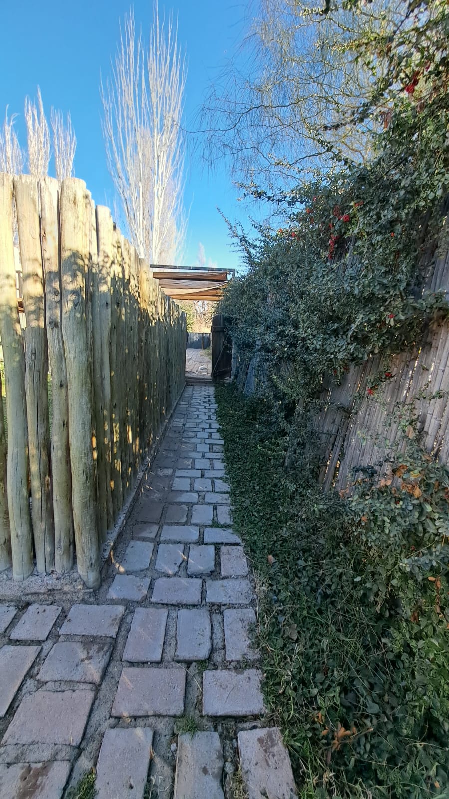 HERMOSA CASA EN ALQUILER ZONA CHACRAS - Imagen 7