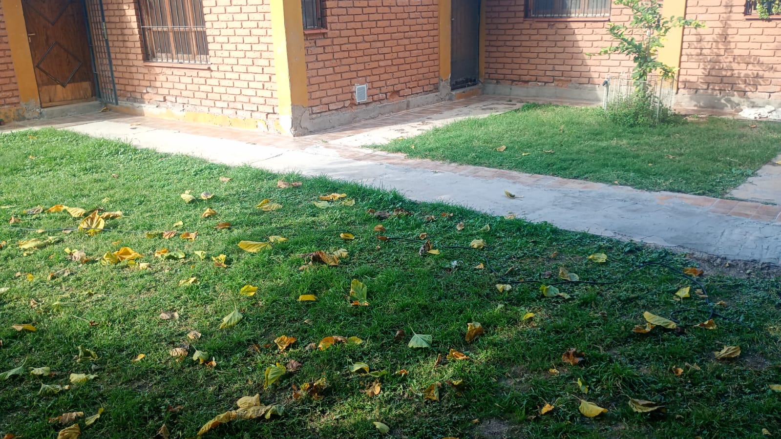Complejo de 3 unidades. - Imagen 8