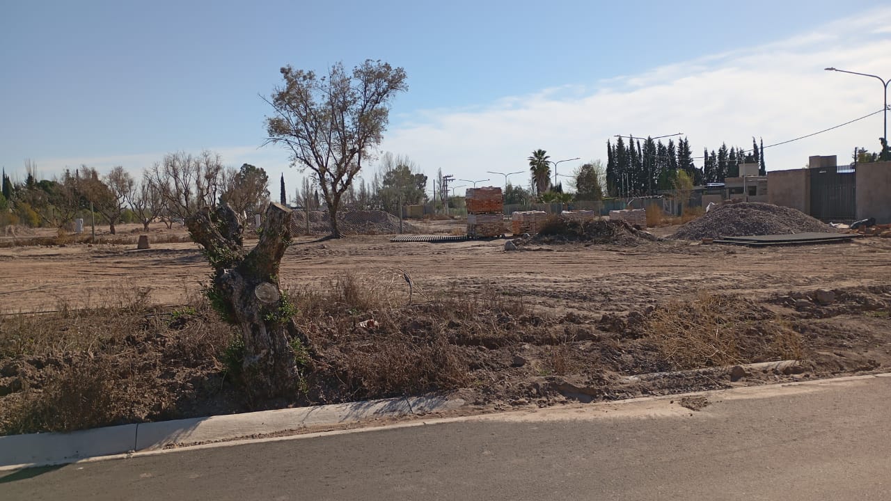 Bº Terruños de Drummond - Imagen 6